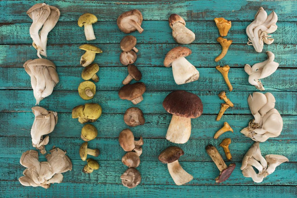 Are Mushrooms Good for Immunity?